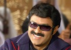 Chinni krishna balakrishna, balakrishna chinni krishna, nandamuri balakrishna chinni krishna movie, chinni krishna nandamuri balakrishna movie, balakrishna bellamkonda suresh, bellamkonda suresh balakrishna